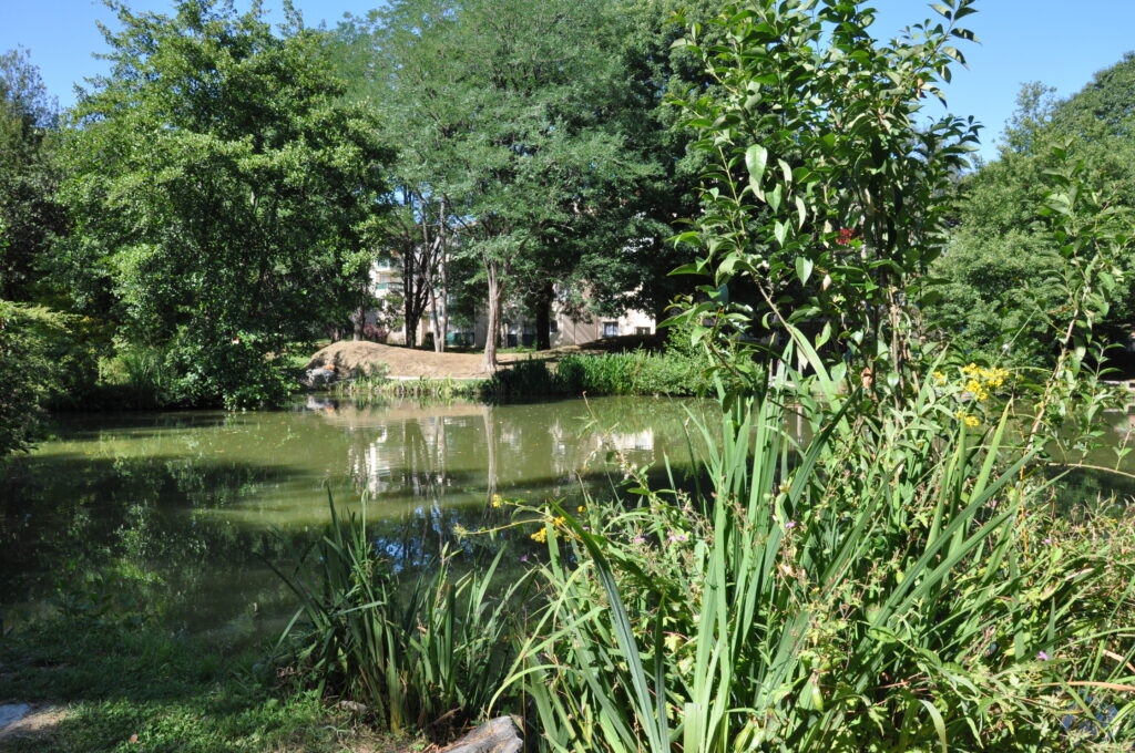 Alternatives Lonsoises