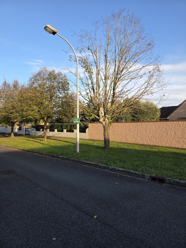 Alternatives lonsoises 2026